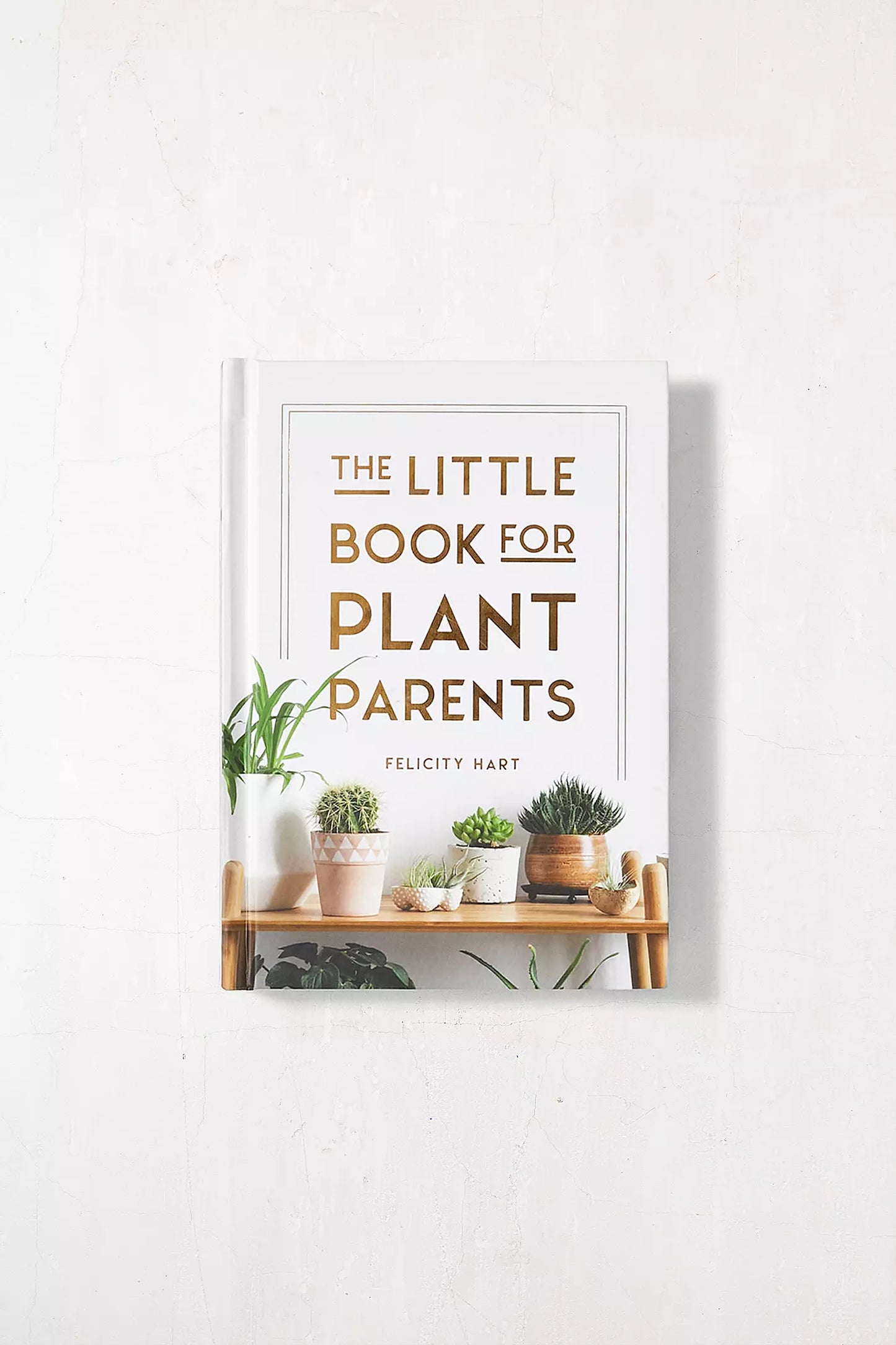 The Little Book For Plant Parents