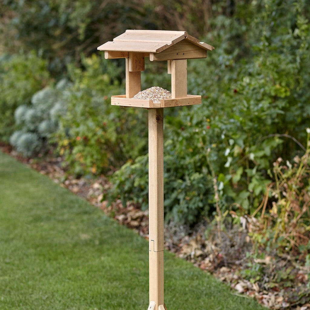 Everyday Bird Table
