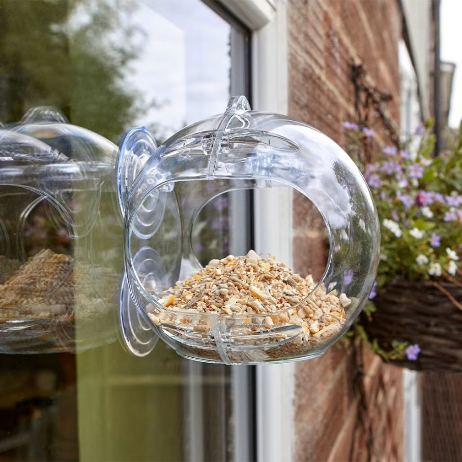 Peckish Globe Window Feeder