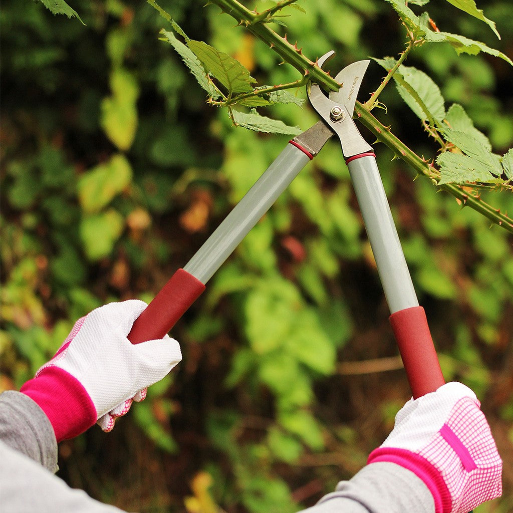 Kent & Stowe Garden Life Loppers