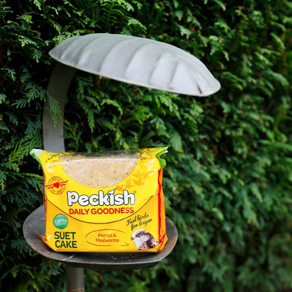 Peckish Extra Goodness Suet Cake