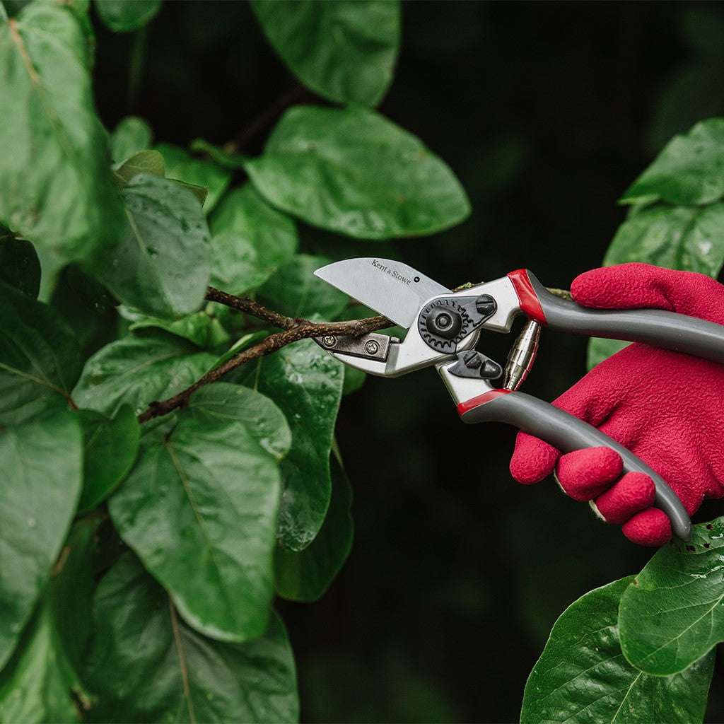 Kent & Stowe Surecut Anvil Secateurs