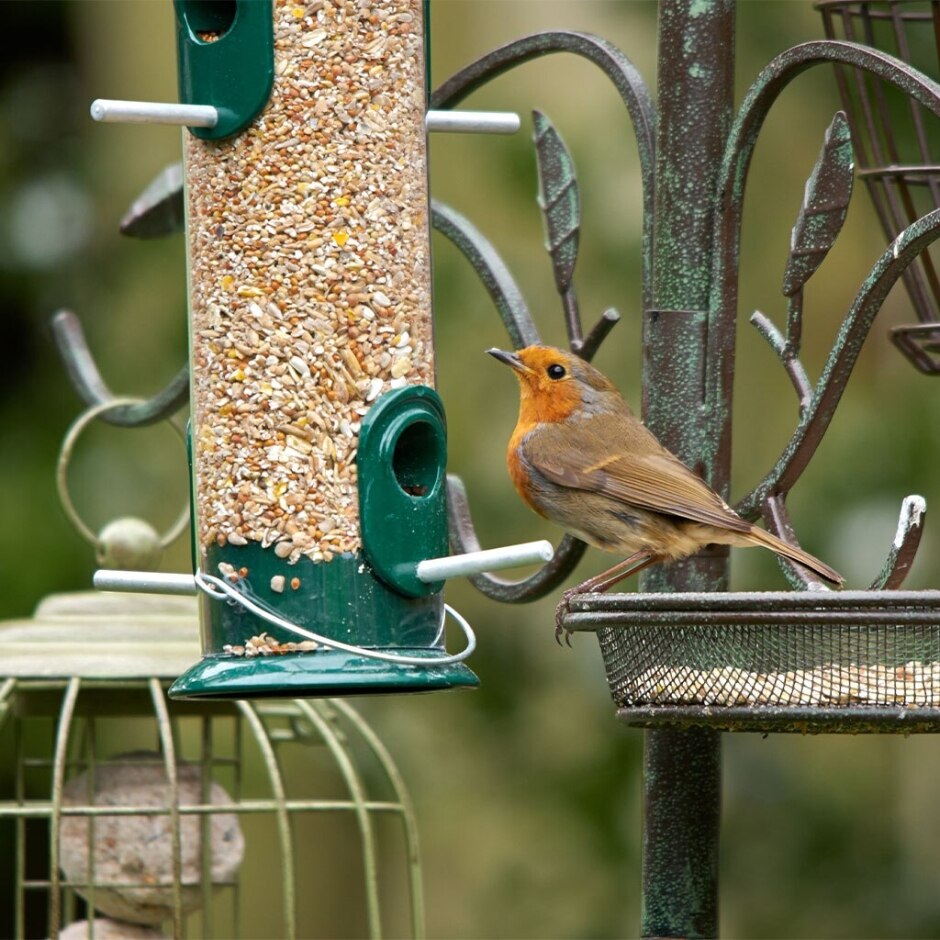 Peckish All Weather Large Seed Feeder
