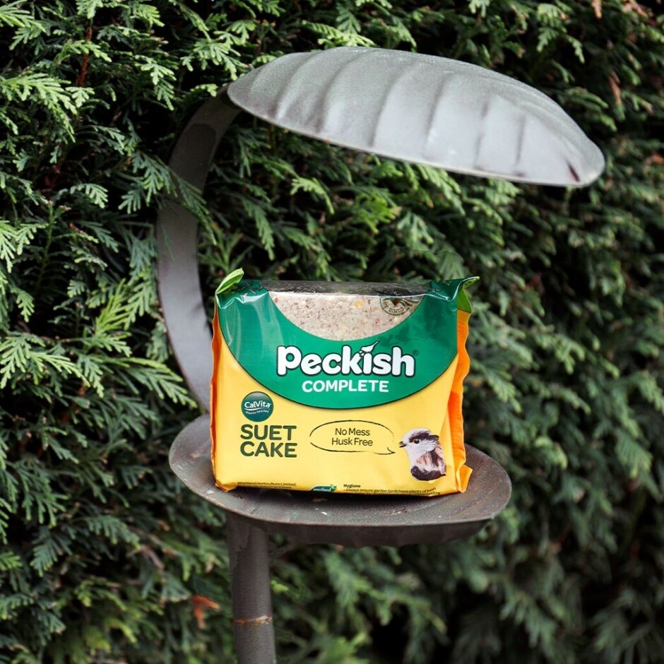 Peckish Complete Suet Cake 300g