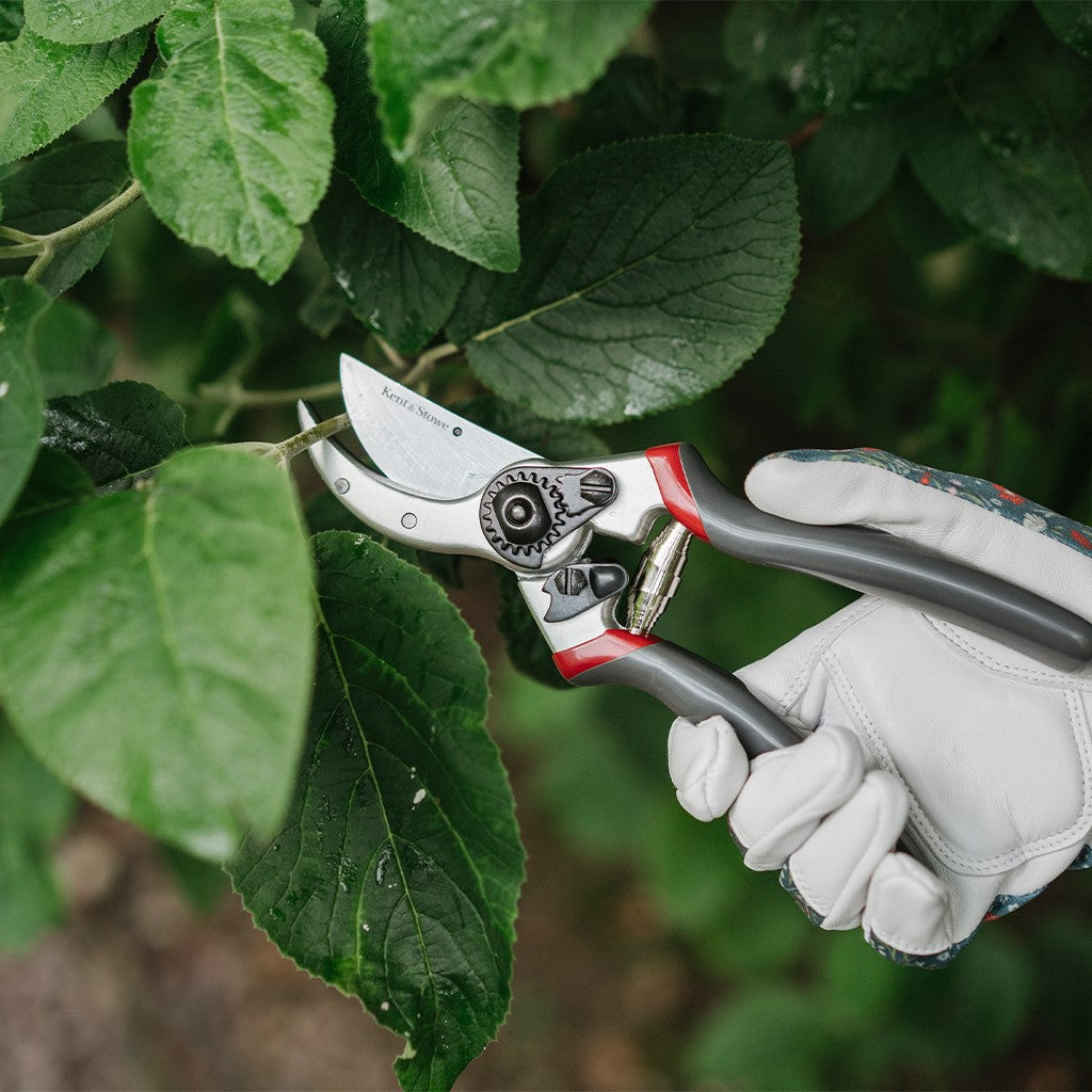 Kent & Stowe Surecut Bypass Secateurs