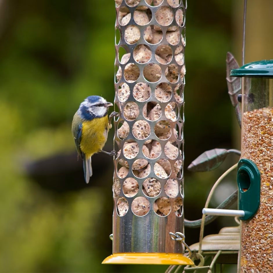 Peckish Extra Goodness Feeder