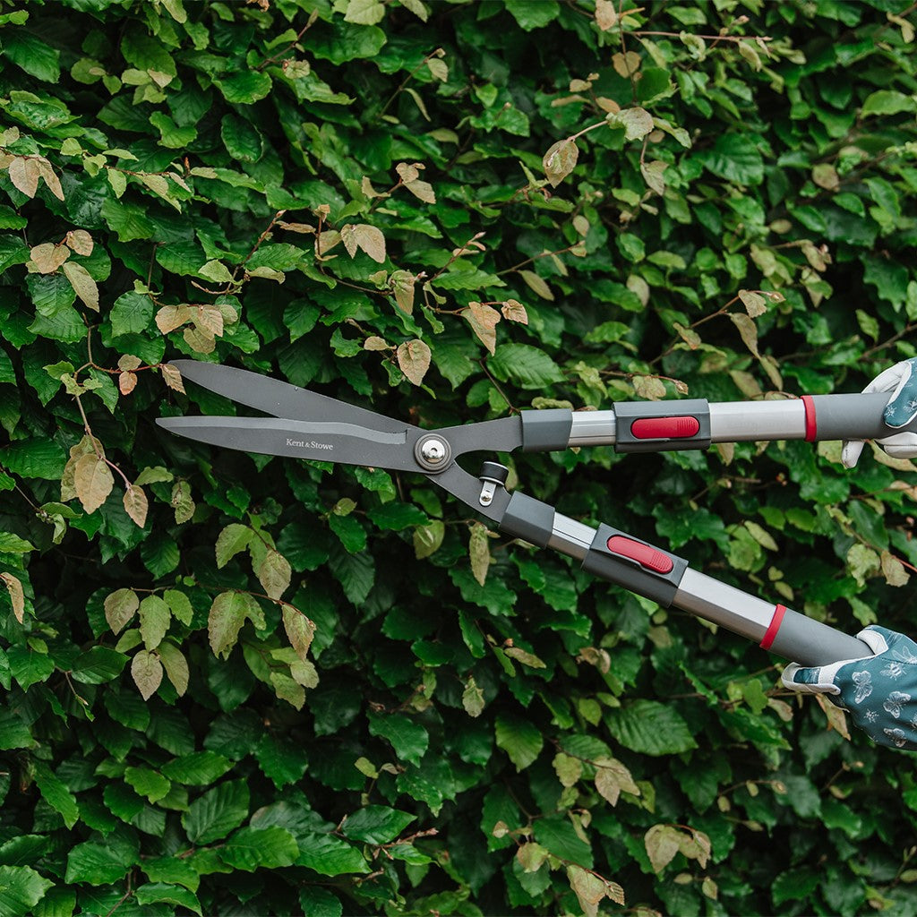 Kent & Stowe Tele Hedge Shear