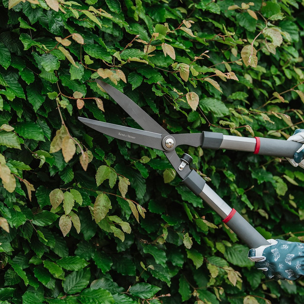 Kent & Stowe General Purpose Hedge Shear