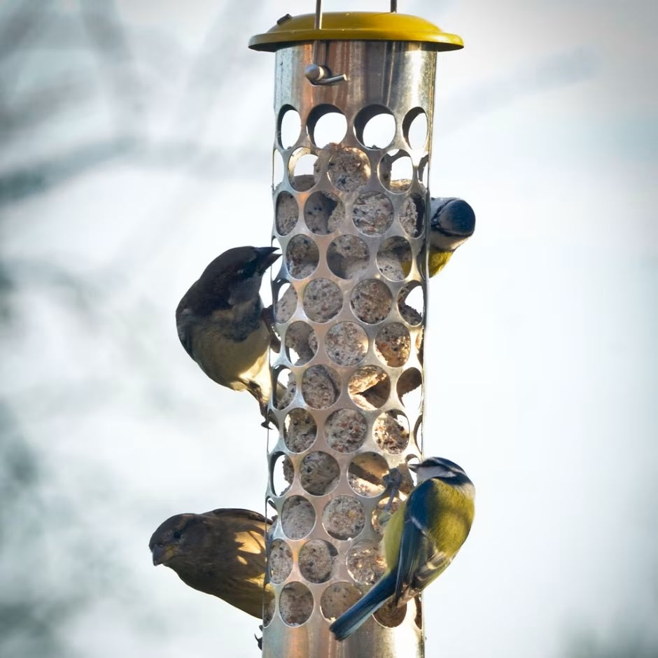 Peckish Extra Goodness Feeder