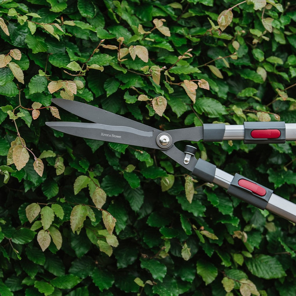 Kent & Stowe Tele Hedge Shear