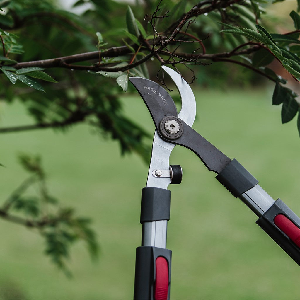 Kent & Stowe Tele Handle Bypass Lopper