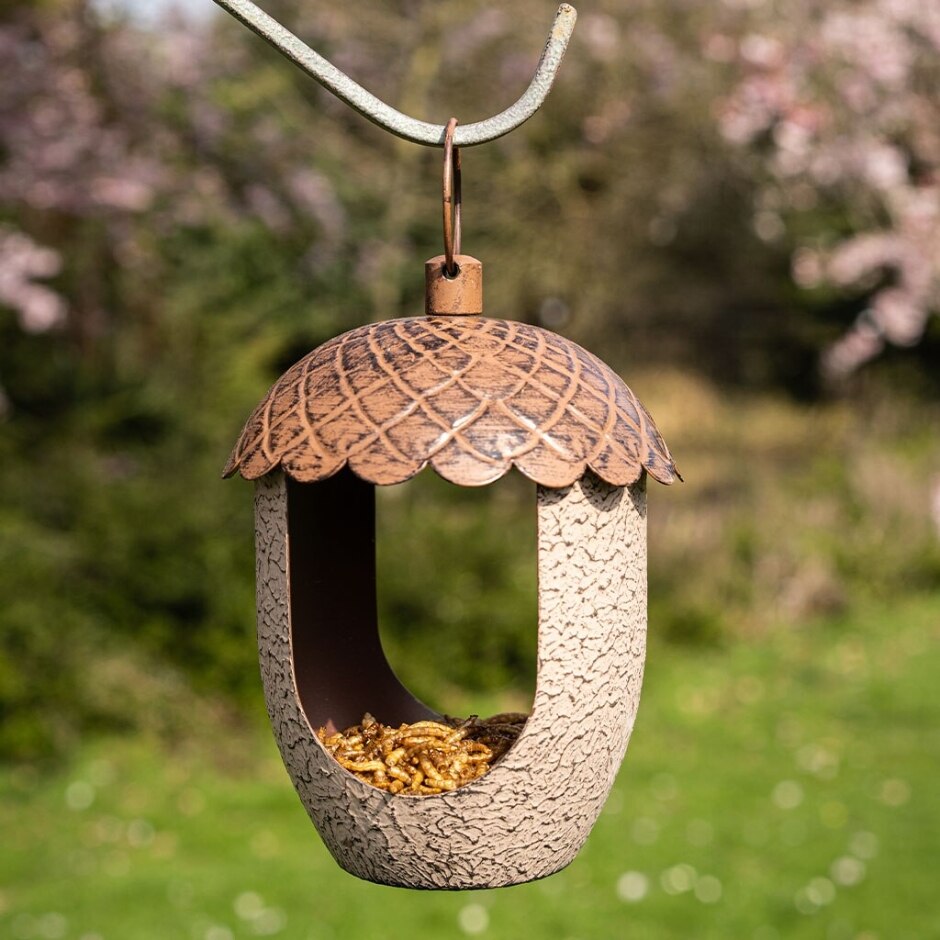 Peckish Acorn Treat Feeder