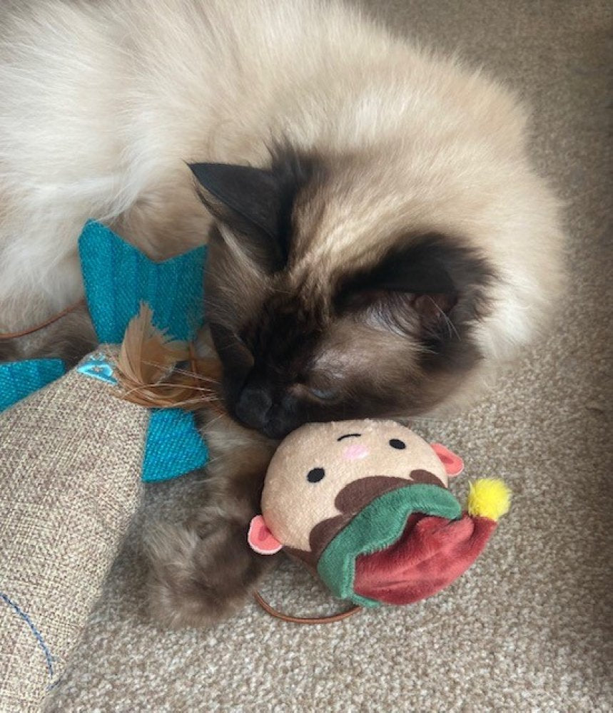 Elf Finger Teaser Cat Toy