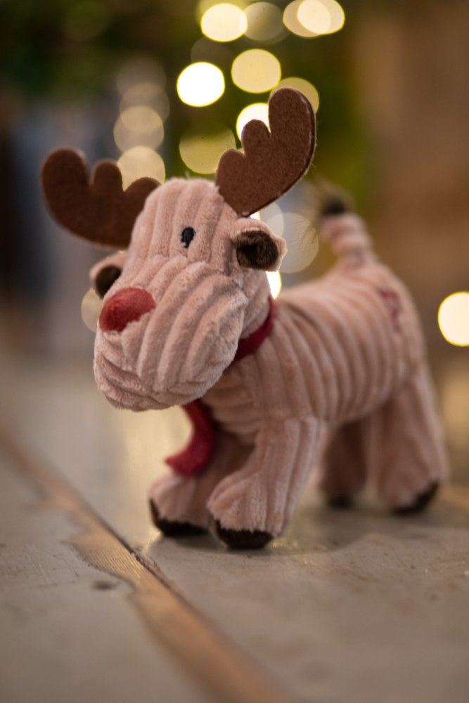 Cord Reindeer Dog Toy