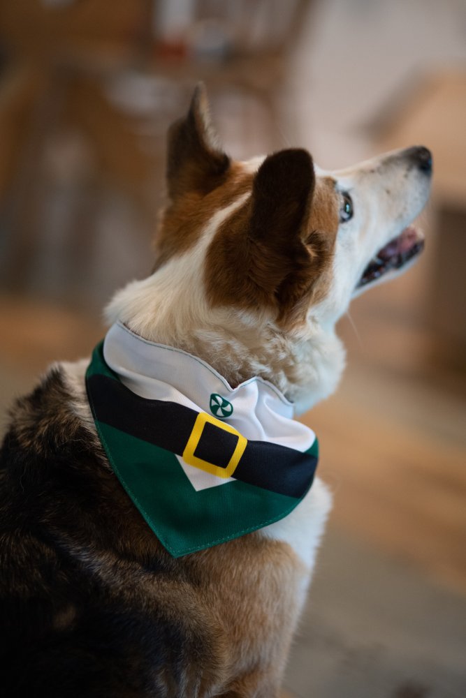 Elf Christmas Dog Bandana