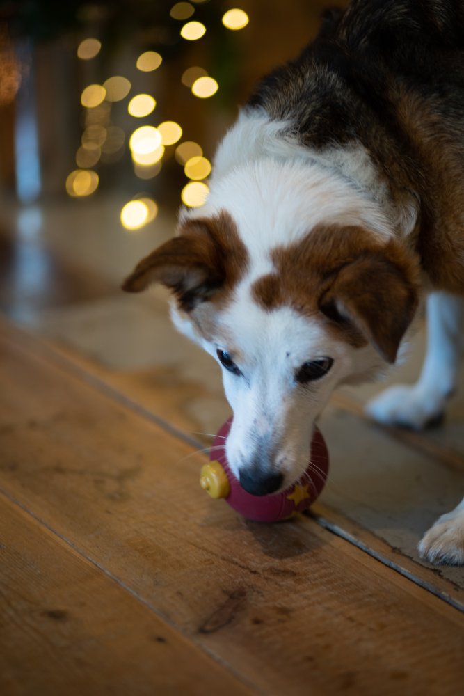 Red Christmas Bauble Dog Toy