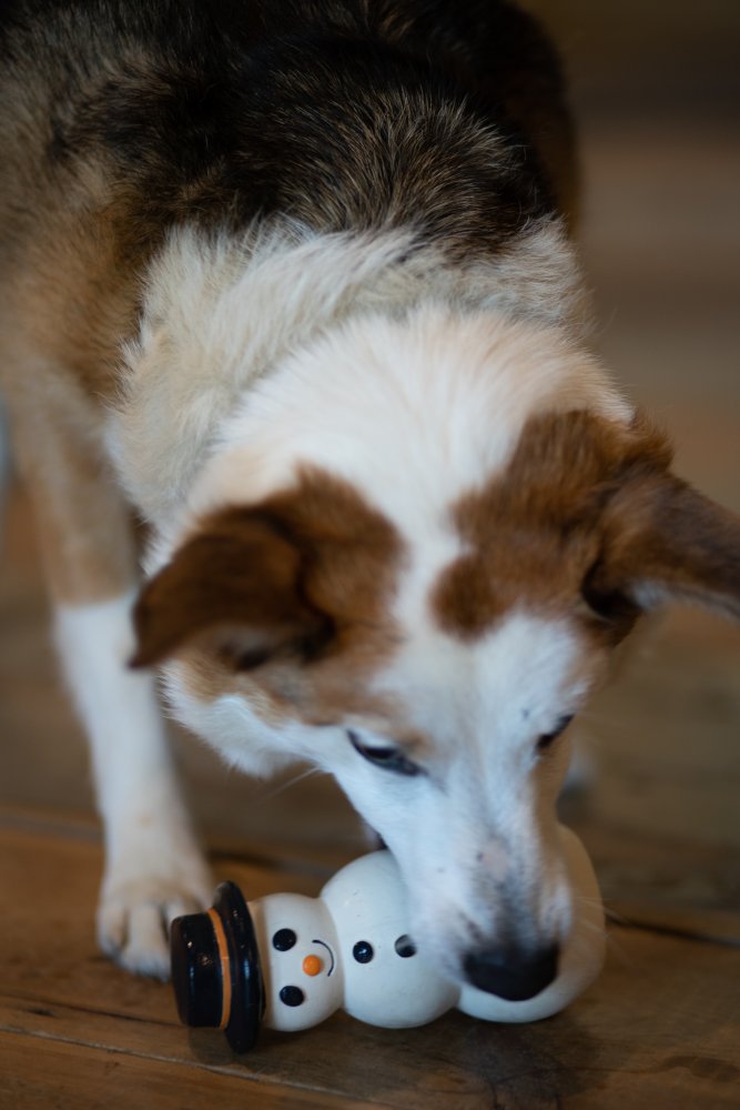 Santos Snowman Dog Toy