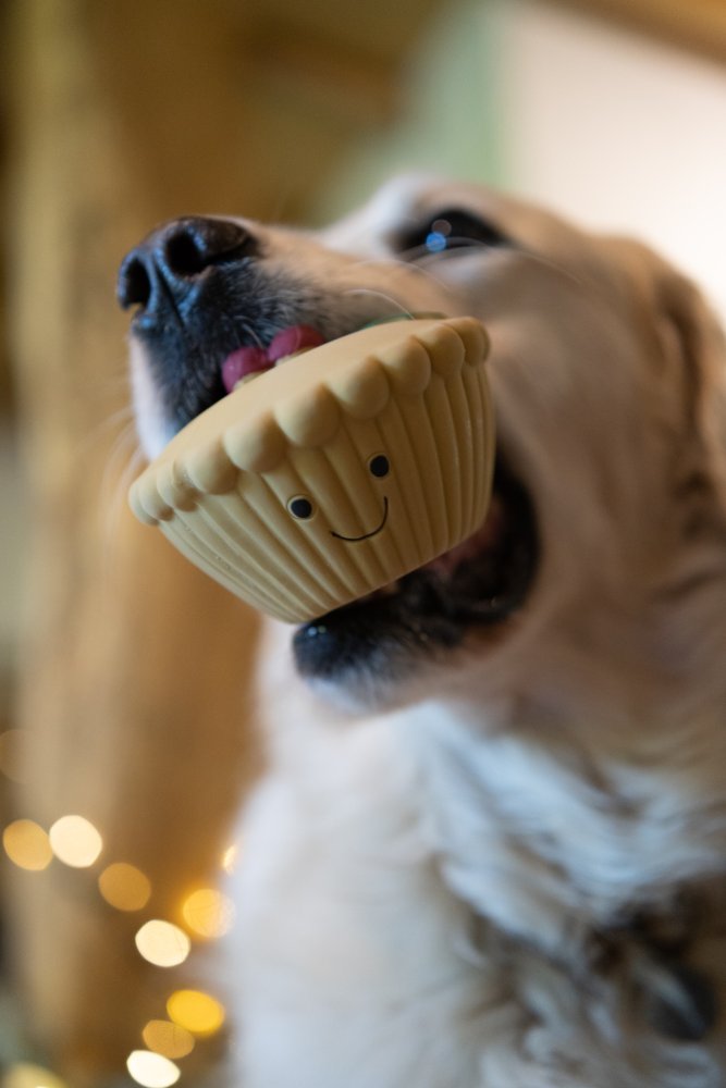Misha Mince Pie Dog Toy
