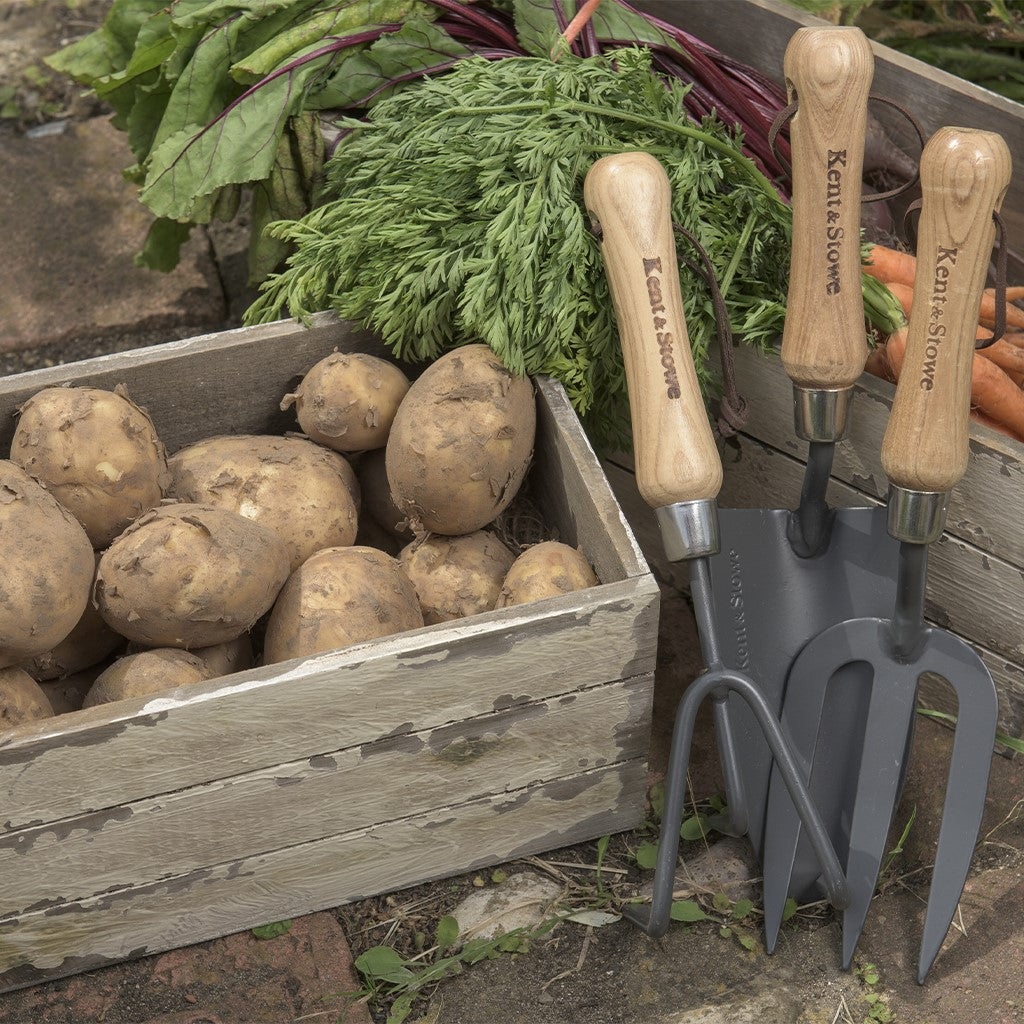 Kent & Stowe Carbon Steel Hand Trowel