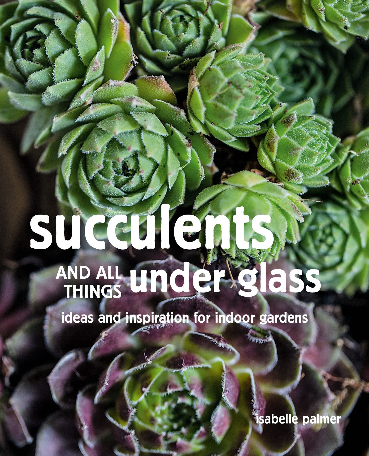 Succulents