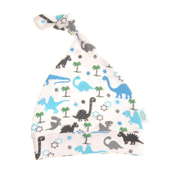 Dinosaur Baby Hat