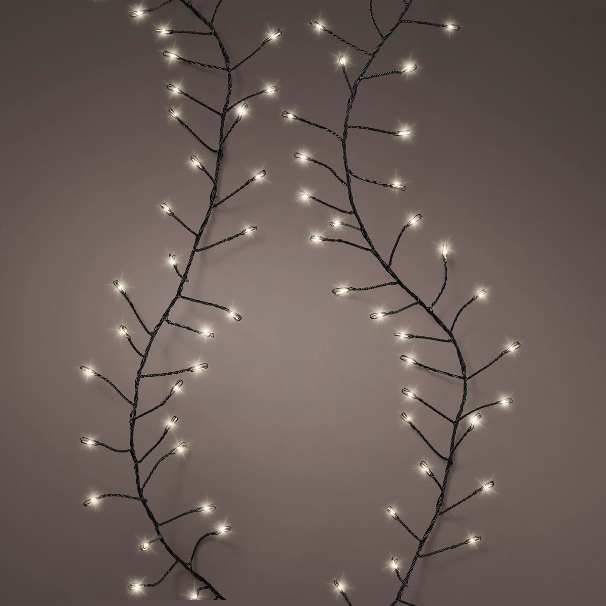 Classic White Micro LED Lights - 12m