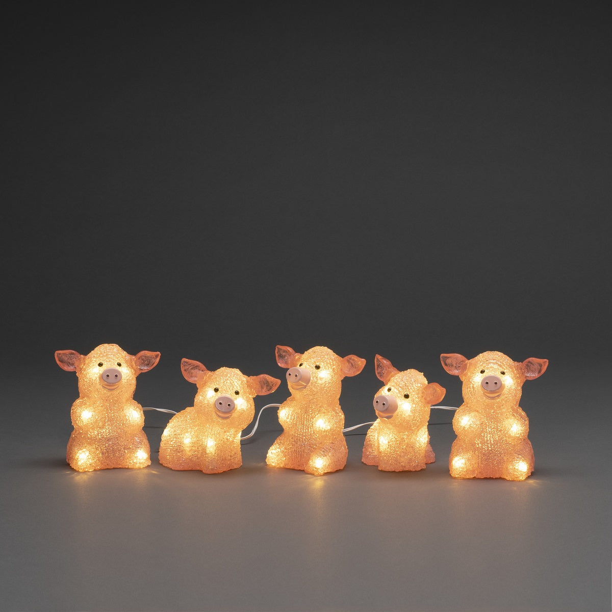 Pink Pig Lights