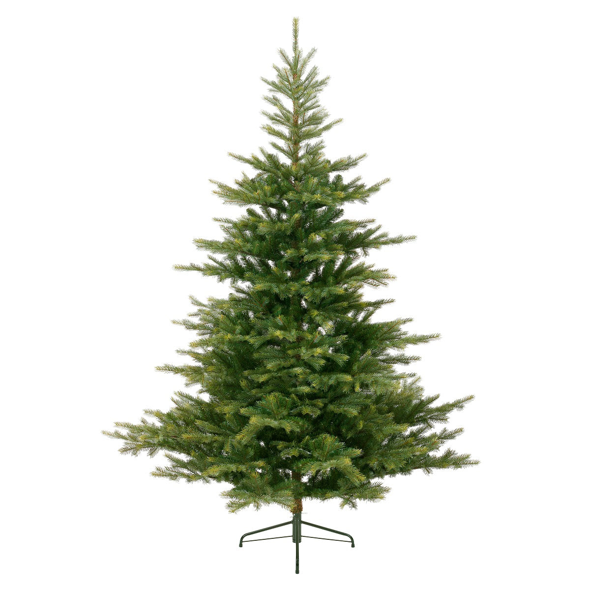 GARLETON FIR 6FT