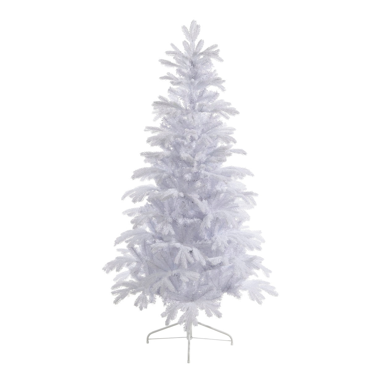 LAMMERMUIR FIR 8FT