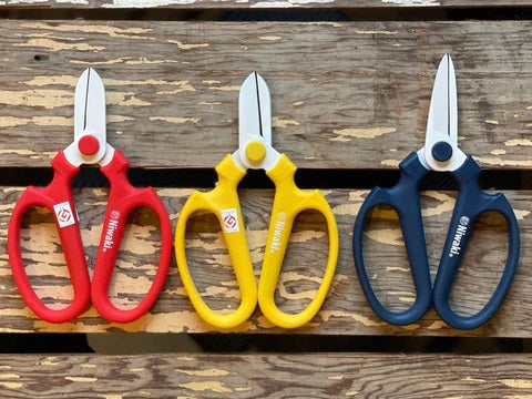 Niwaki Sakagen Scissors Blue