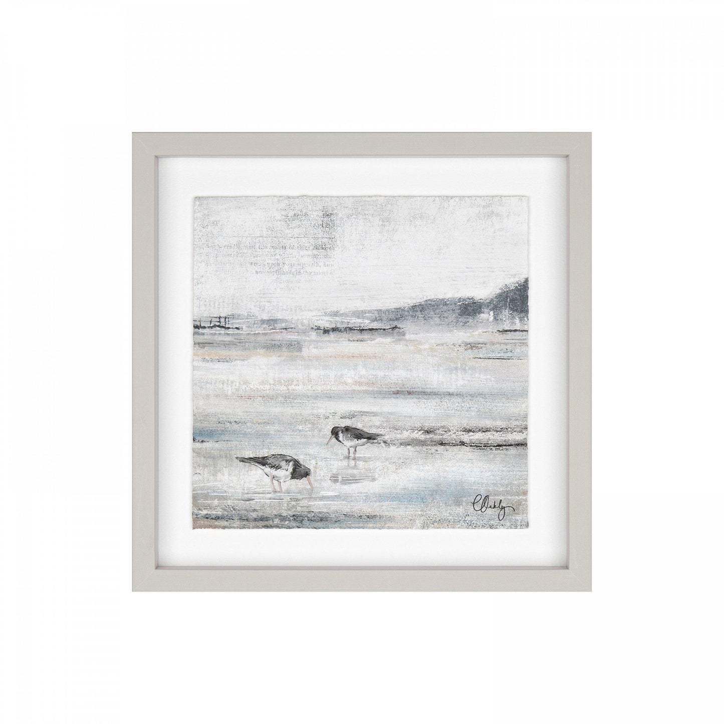 Oyster Catchers