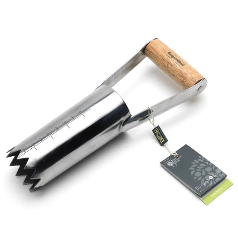 RHS Stainless Hand Bulb Planter