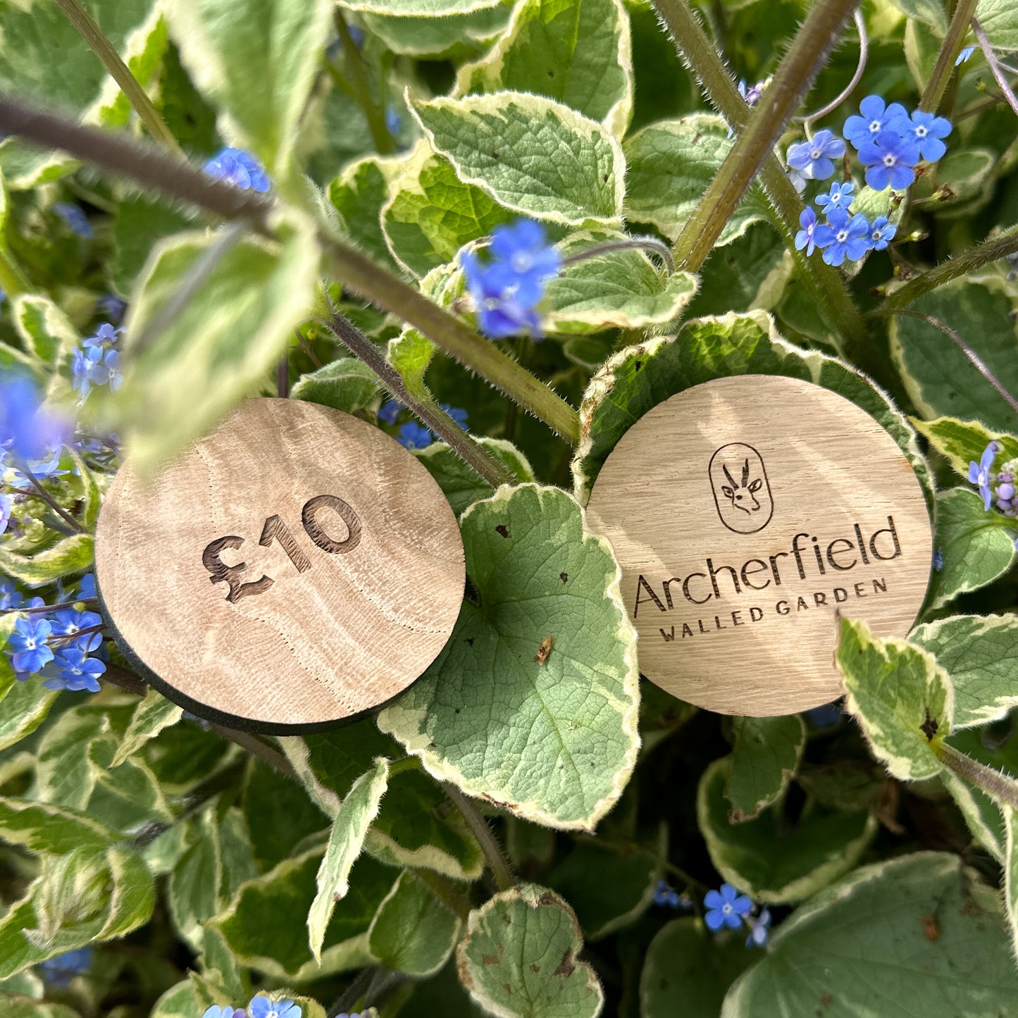 Archerfield Walled Garden Wooden Token £10