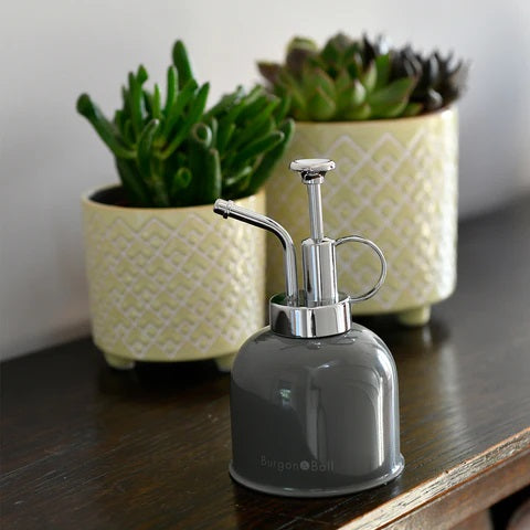 Indoor Mister Charcoal