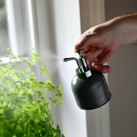 Indoor Mister Charcoal