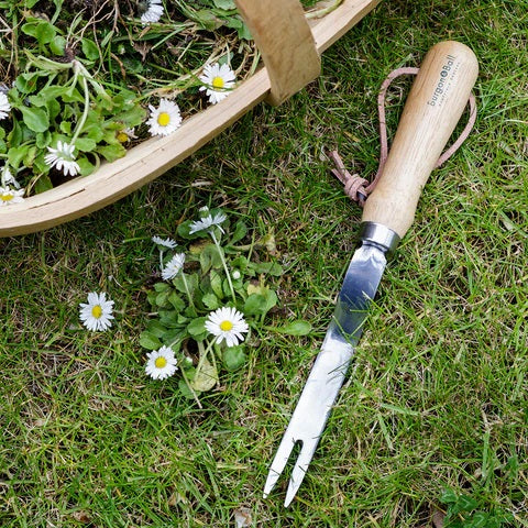 RHS Stainless Daisy Grubber