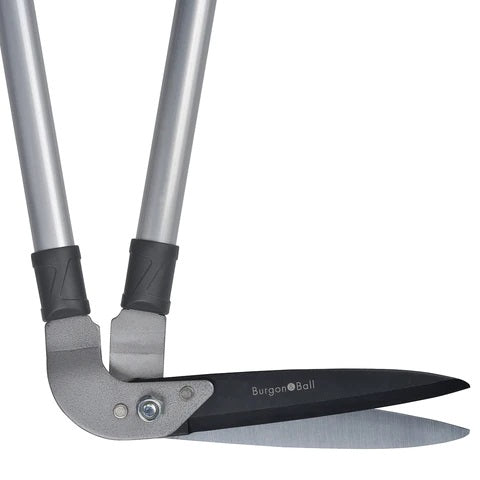 RHS Lawn Edging Shear