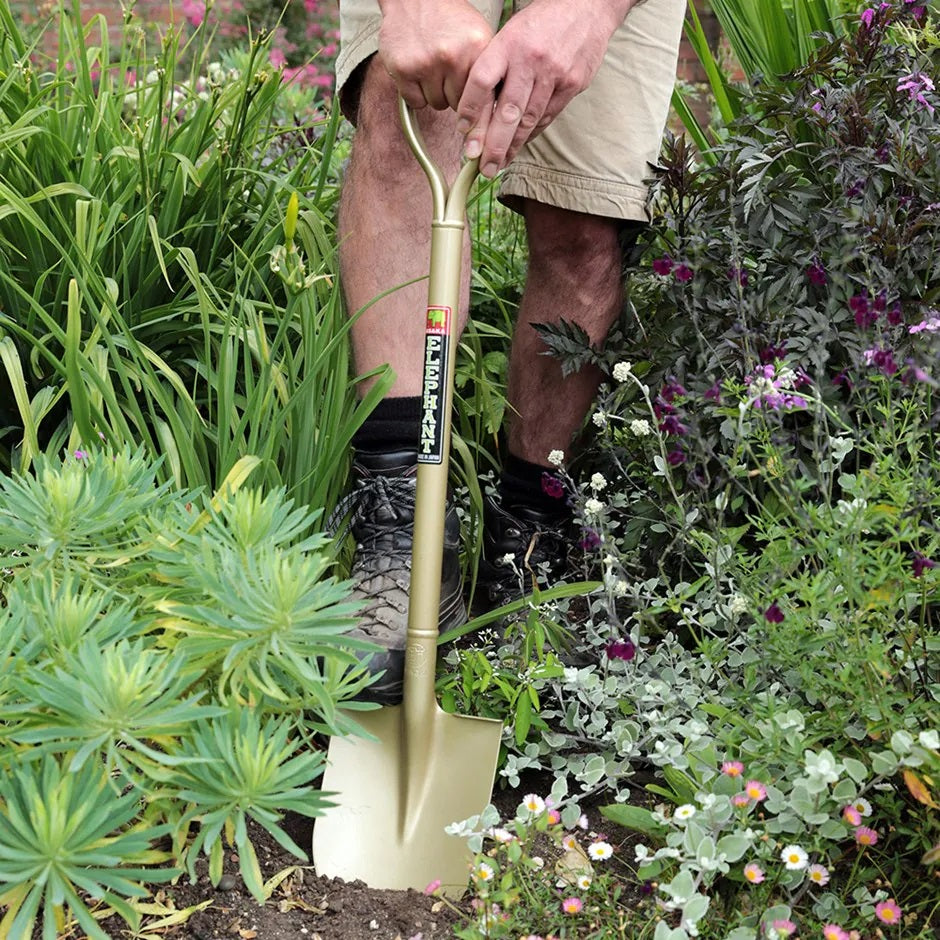 Niwaki Golden Spade Small