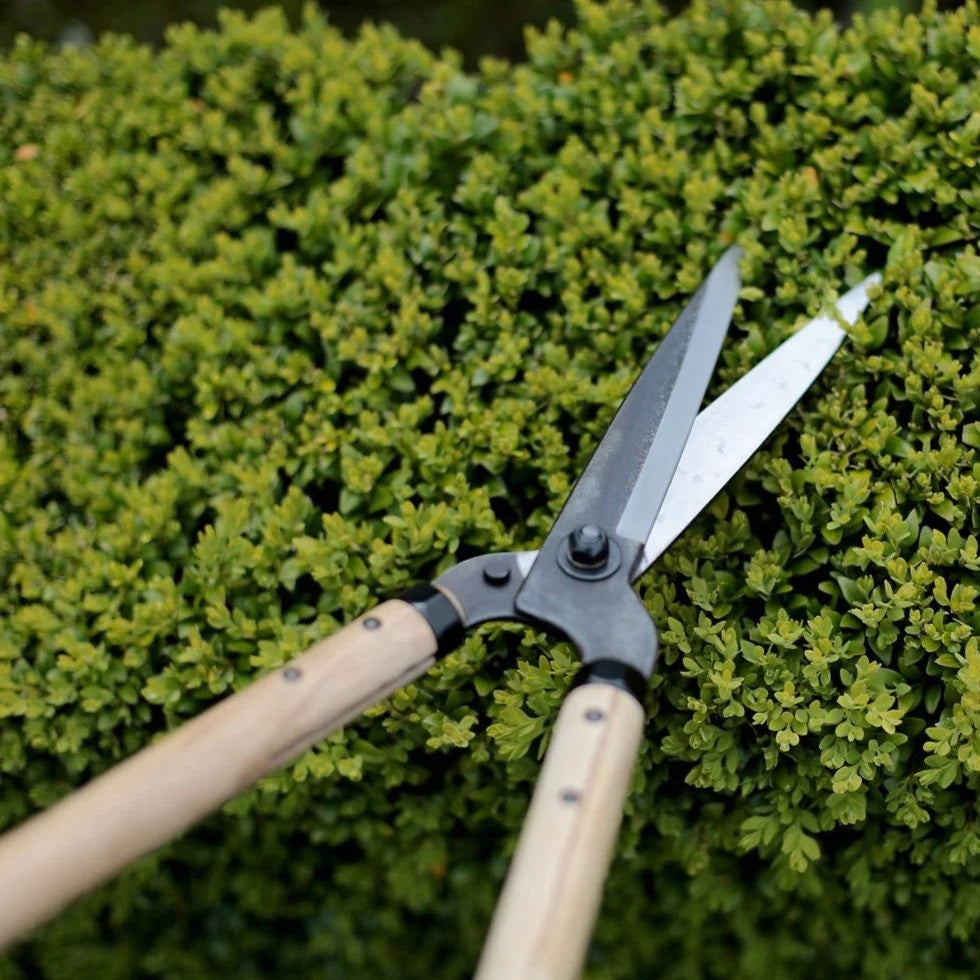 Niwaki Garden Shears