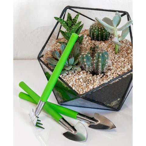 Terrarium Tool Set