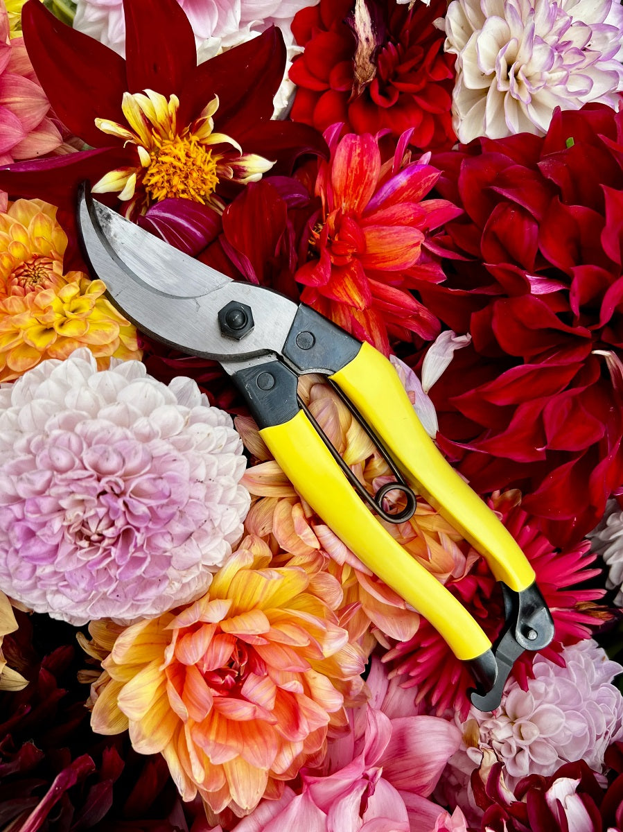 Niwaki Manichi Secateurs