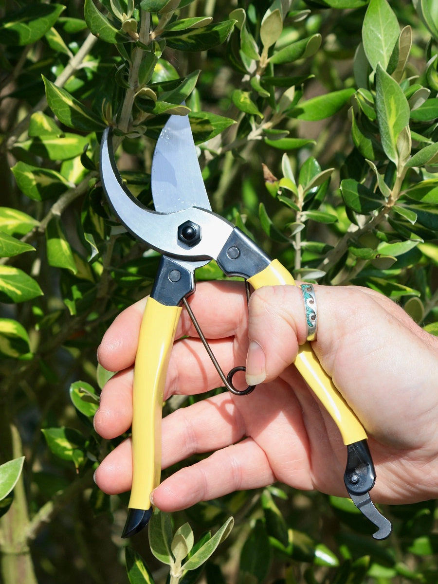Niwaki Manichi Secateurs