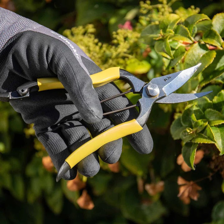 Niwaki Pro Lightweight Secateurs