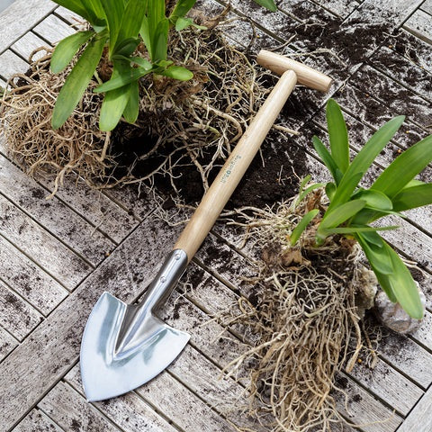 RHS Stainless Perennial Spade