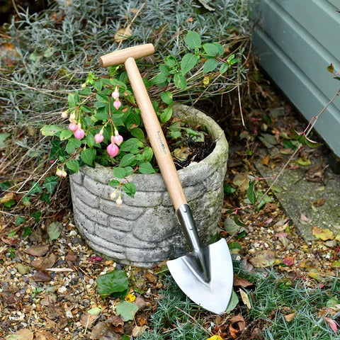 RHS Stainless Perennial Spade