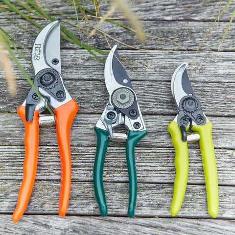 RHS Pocket Pruner