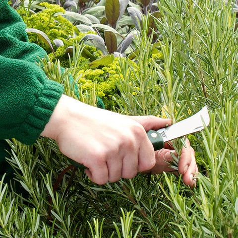 RHS Stainless Pocket Knife