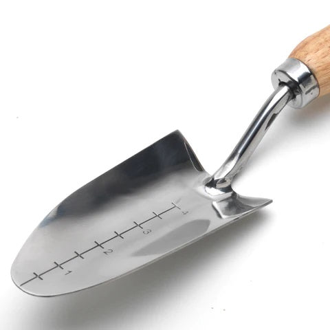 RHS Stainless Transplanter