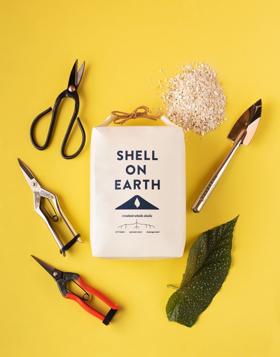 Shell On Earth Mini