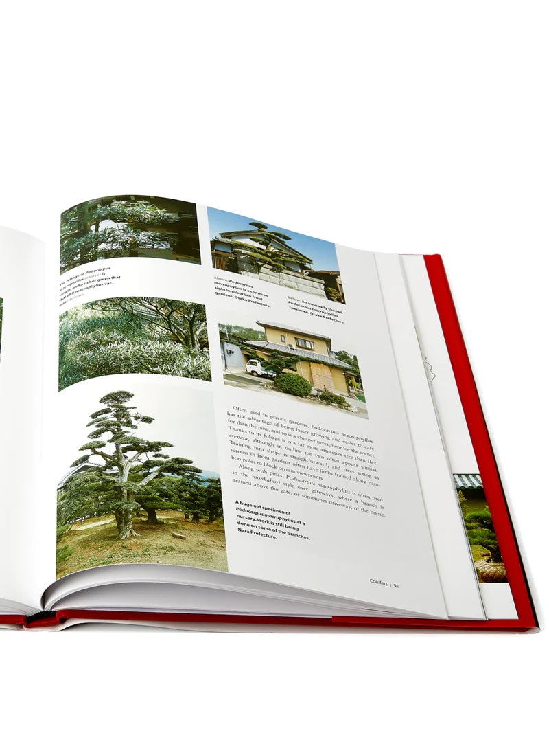 Pruning, Training And Shaping Trees The Japanese Way By Jake Hobson